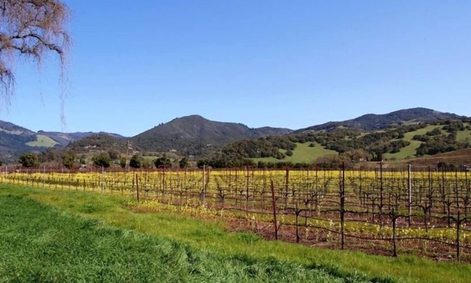 Boyes Hot Springs House | Casa Bonita - A Wine Country Retreat
