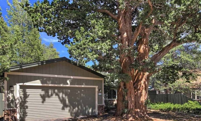 Tahoe Paradise House | Pet Friendly - Central to 3 Ski Resorts!