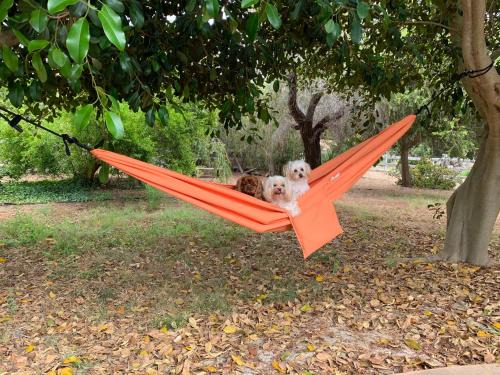Fairbanks Ranch House | Rancho Garden Home