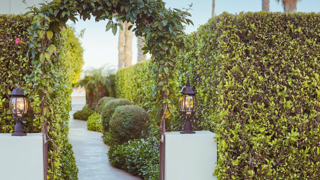Photo of Outdoor in West Beach