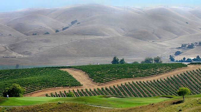 Photo of Others in Pleasanton