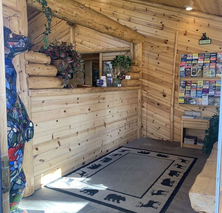 Photo of Kitchen in Y Area