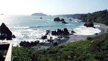 Photo of Others in Pacific