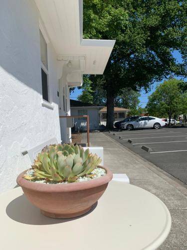 Photo of Others in Calistoga