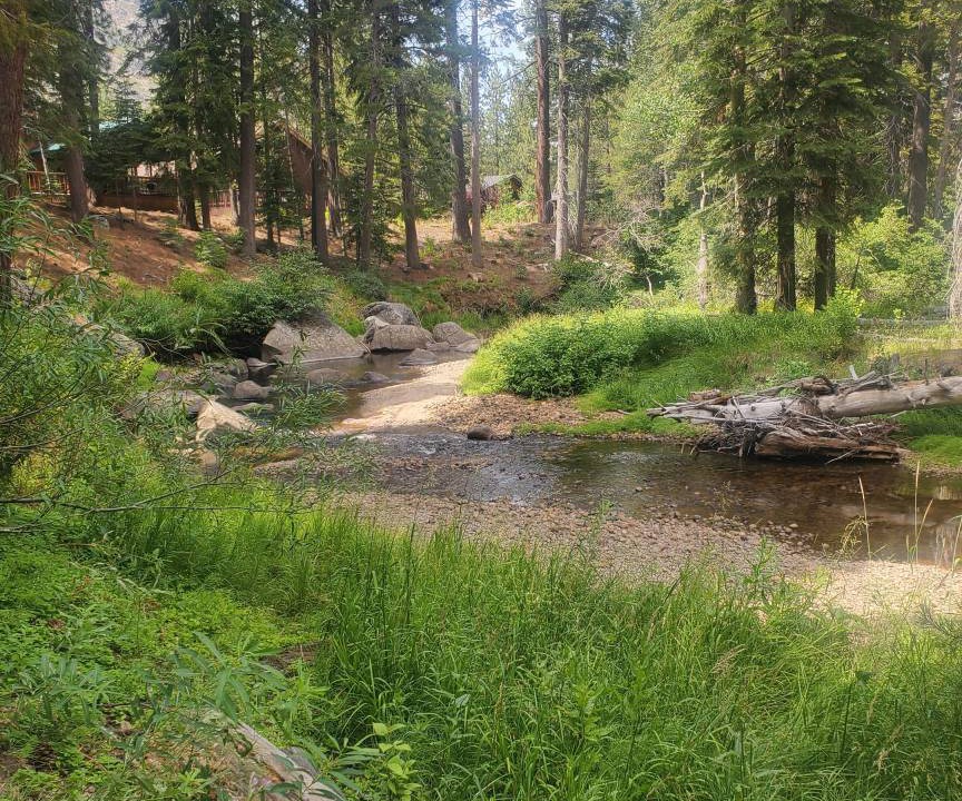 Photo of Others in Christmas Valley