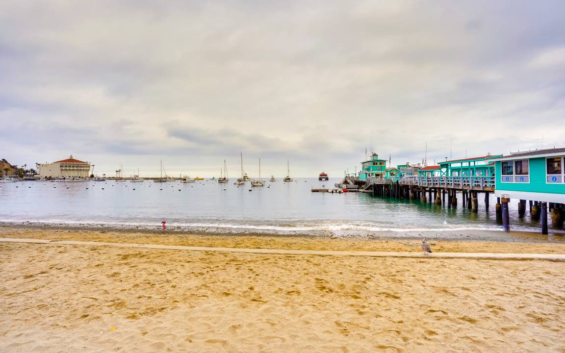 Photo of Others in Avalon