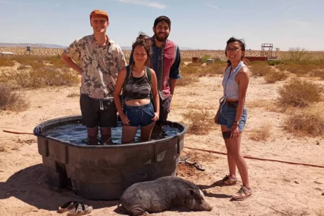Photo of Others in Twentynine Palms