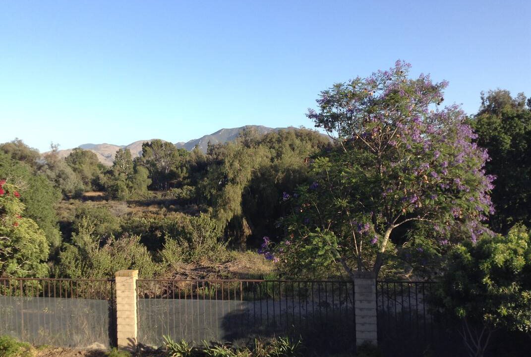 Photo of Others in Camarillo