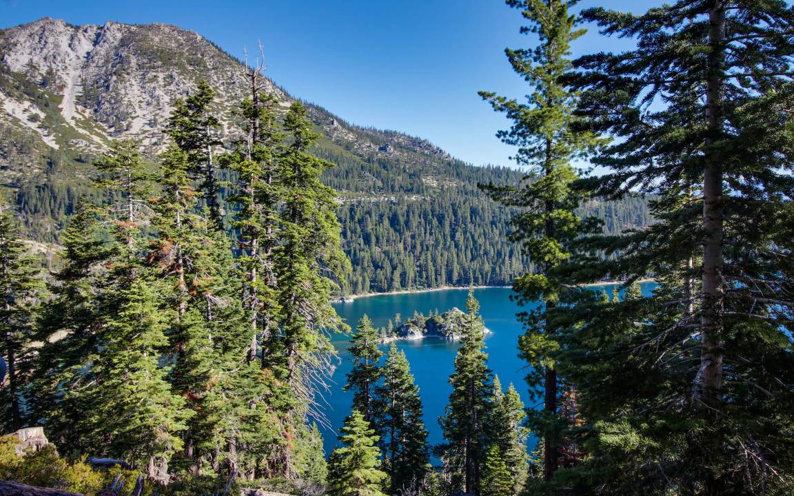 Photo of Others in Al Tahoe
