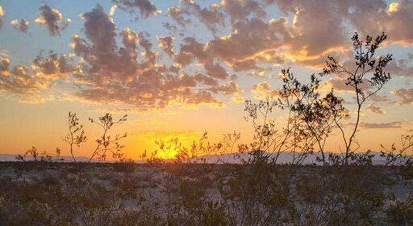 Photo of Others in Mojave Desert