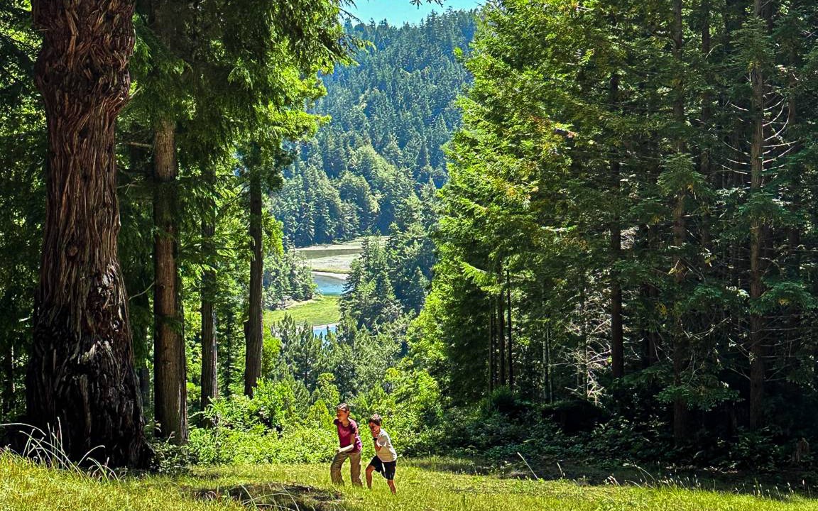 Photo of Others in Little River