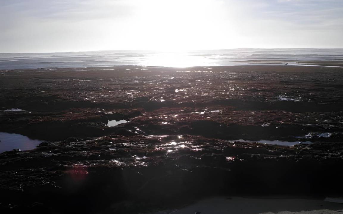 Photo of Others in Moss Beach