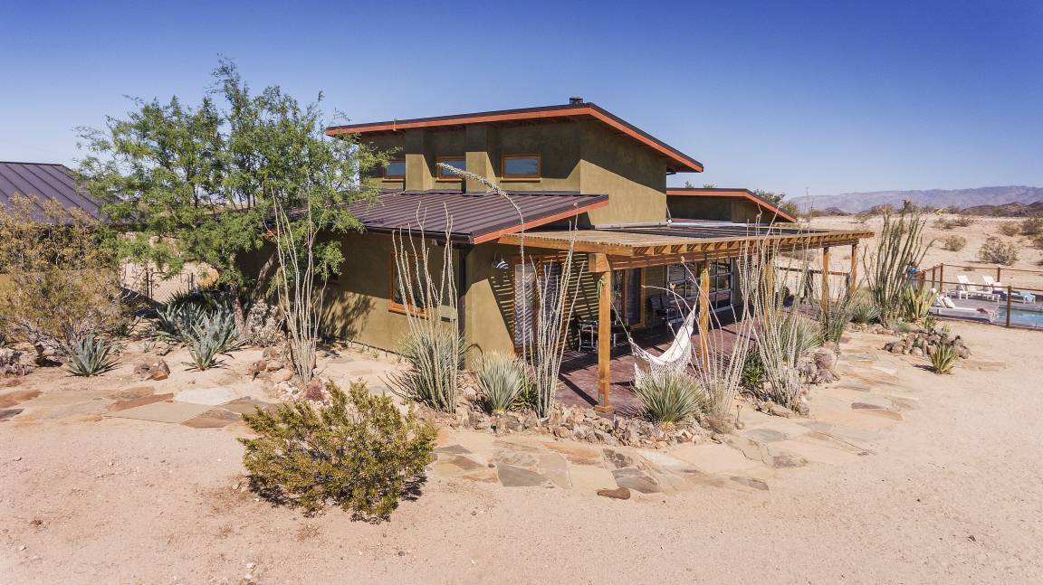 Photo of Others in Joshua Tree