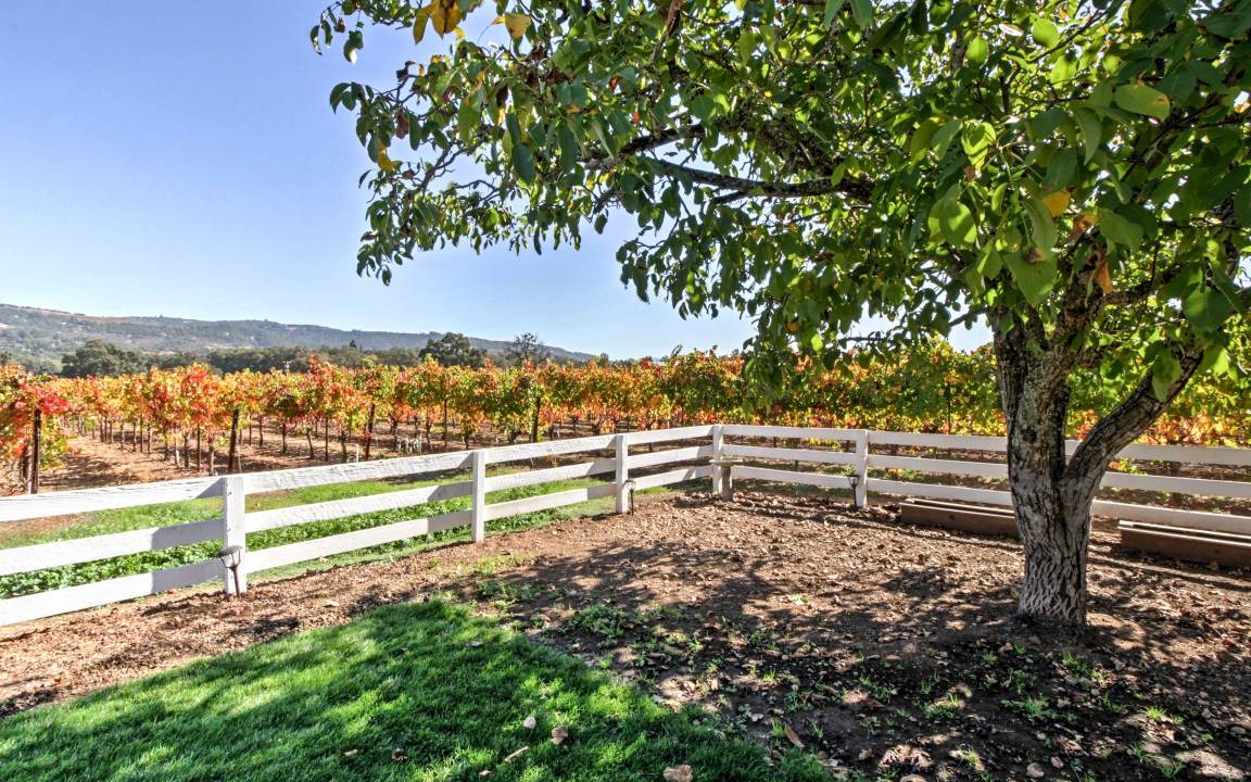 Photo of Others in Sonoma