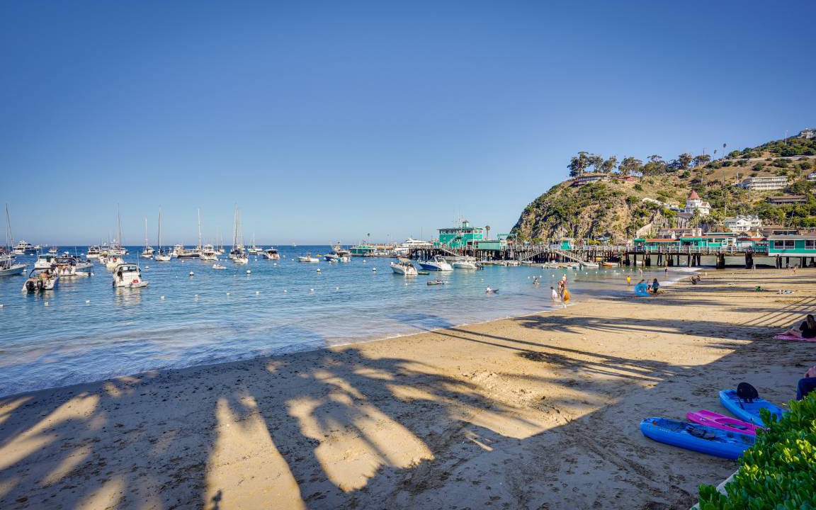 Photo of Others in Avalon