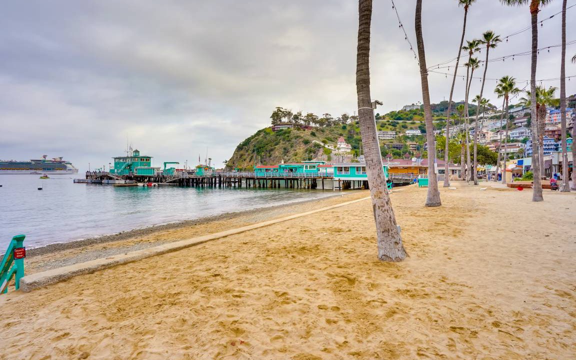 Photo of Others in Avalon