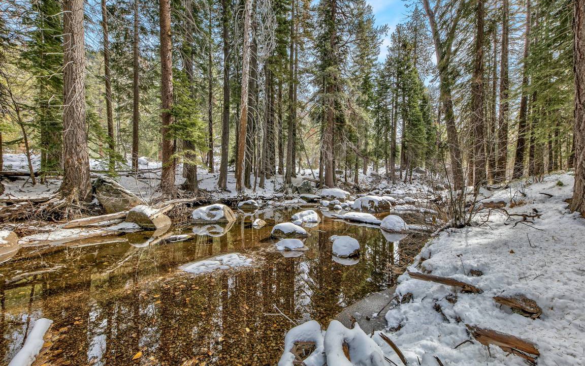 Photo of Others in Christmas Valley