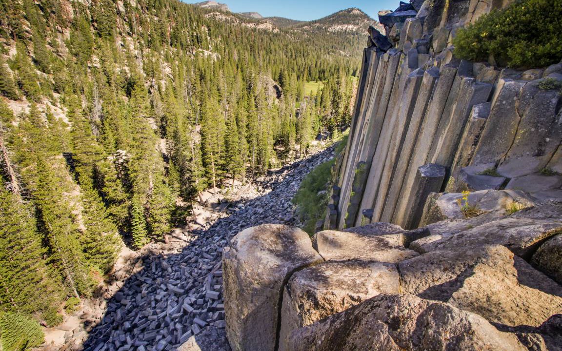 Photo of Others in Majestic Pines