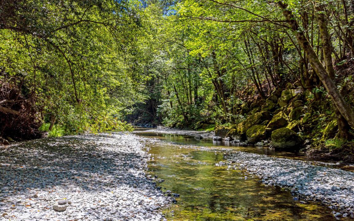 Photo of Others in Cazadero