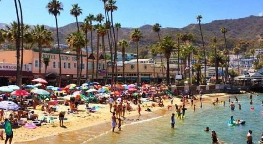Photo of Others in Avalon