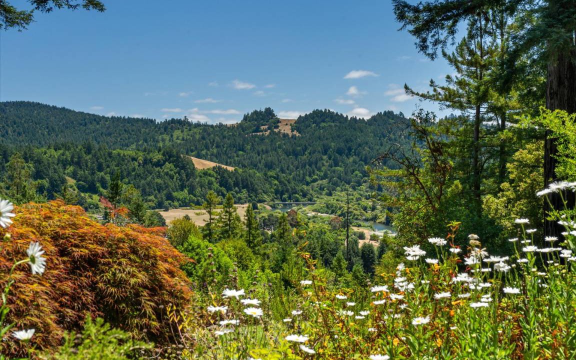 Photo of Others in Cazadero