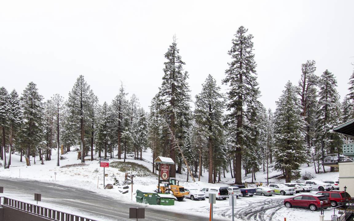 Photo of Others in Mammoth Lakes