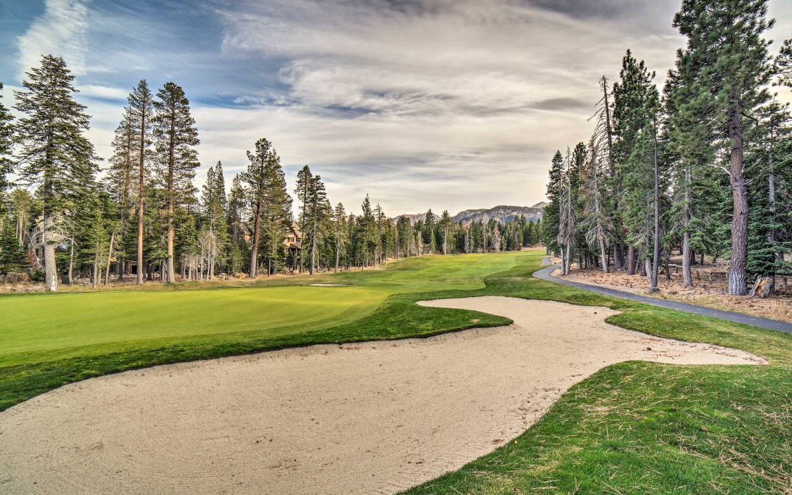 Photo of Others in Majestic Pines