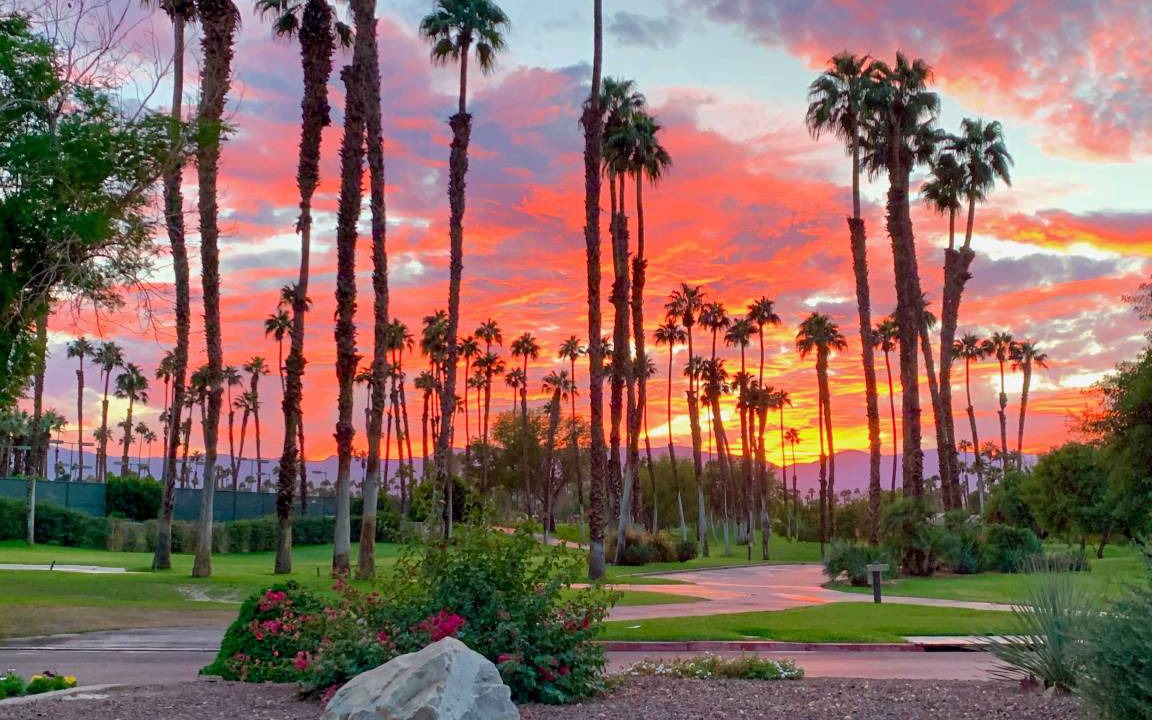 Photo of Others in Palm Desert