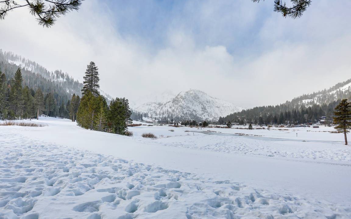 Photo of Others in Olympic Valley