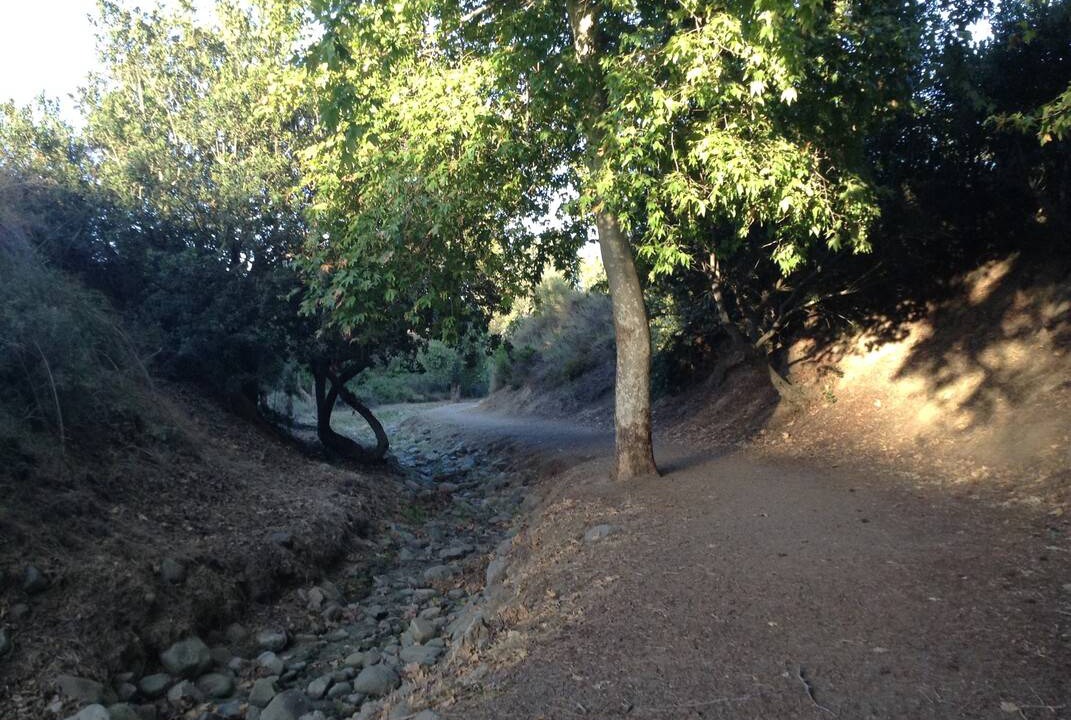 Photo of Others in Camarillo