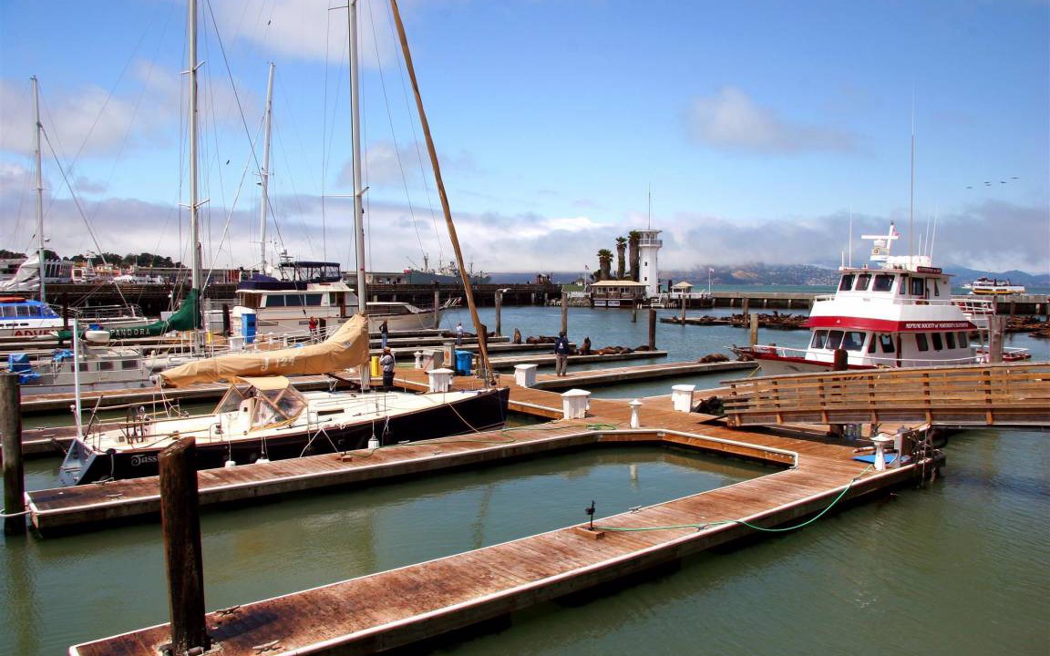 Photo of Others in Pacific Heights