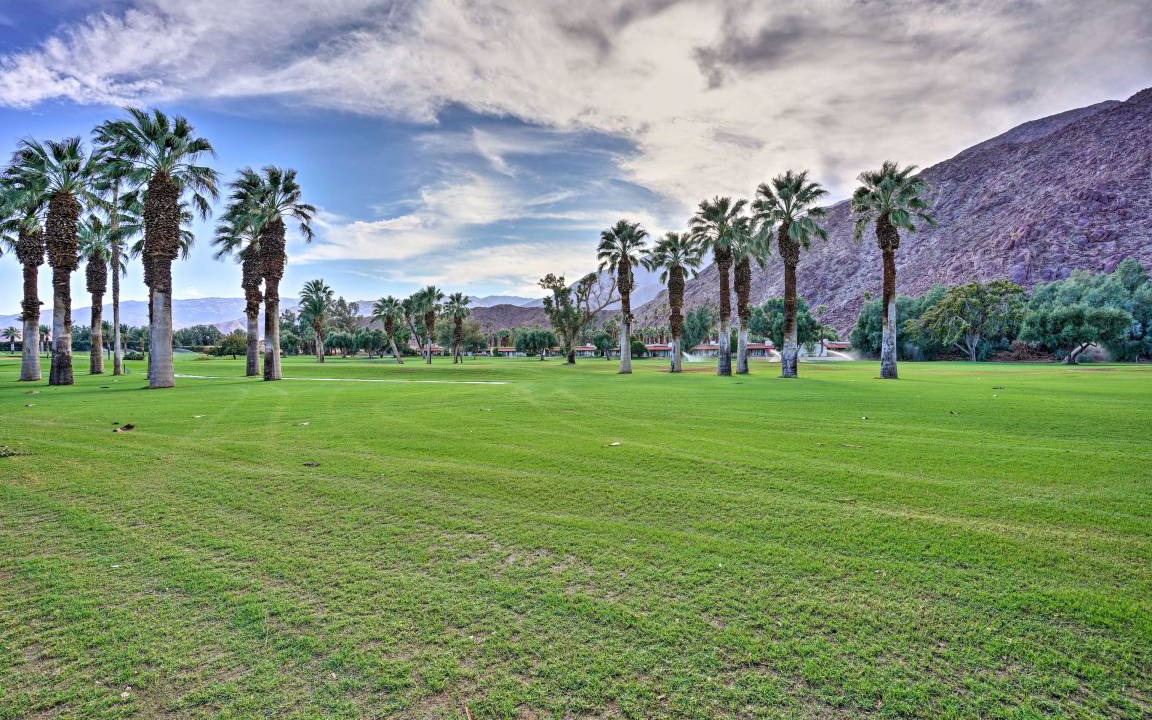 Photo of Others in Borrego Springs