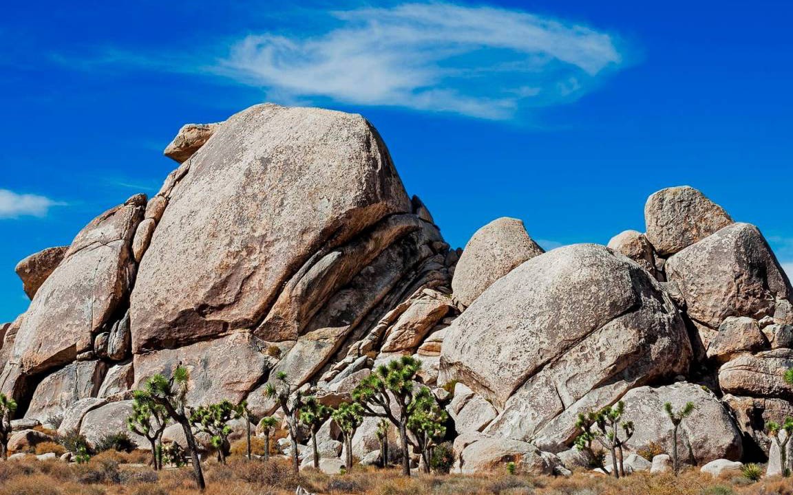 Photo of Others in Twentynine Palms