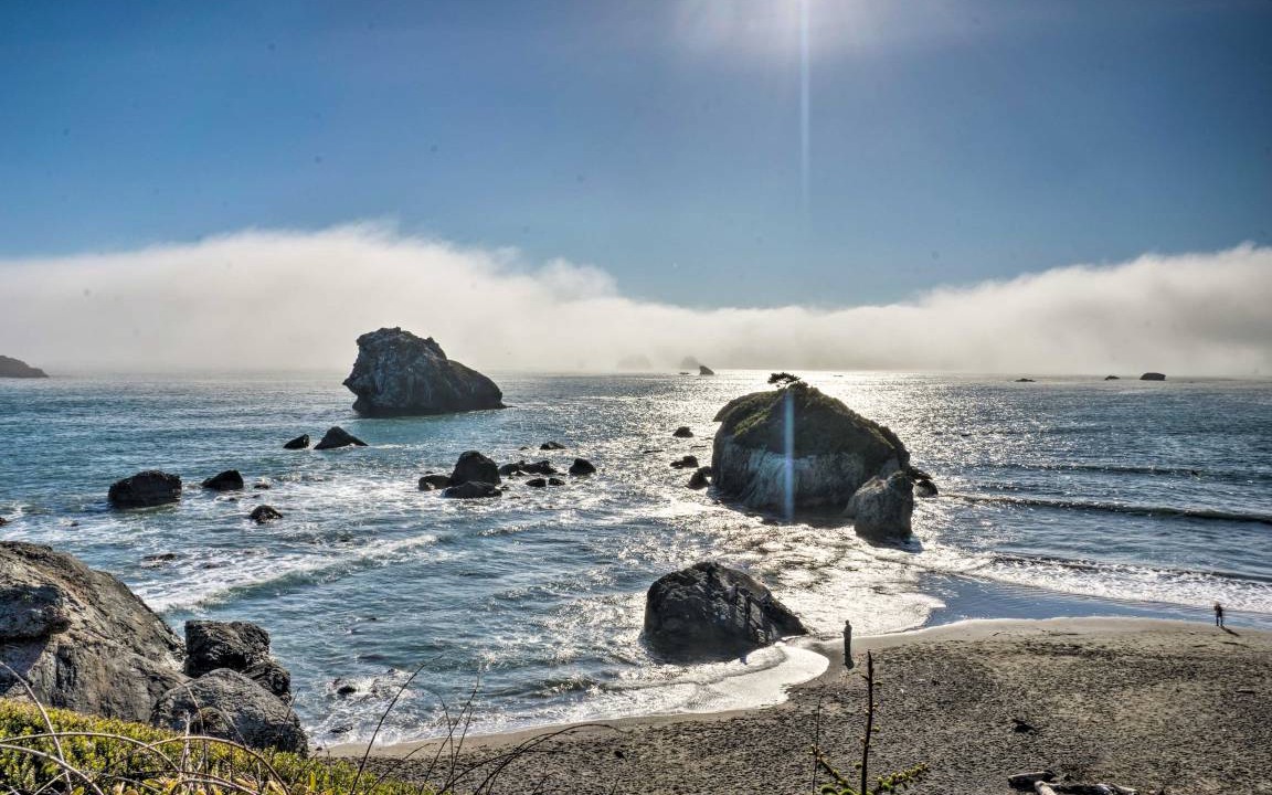 Photo of Others in Crescent City North
