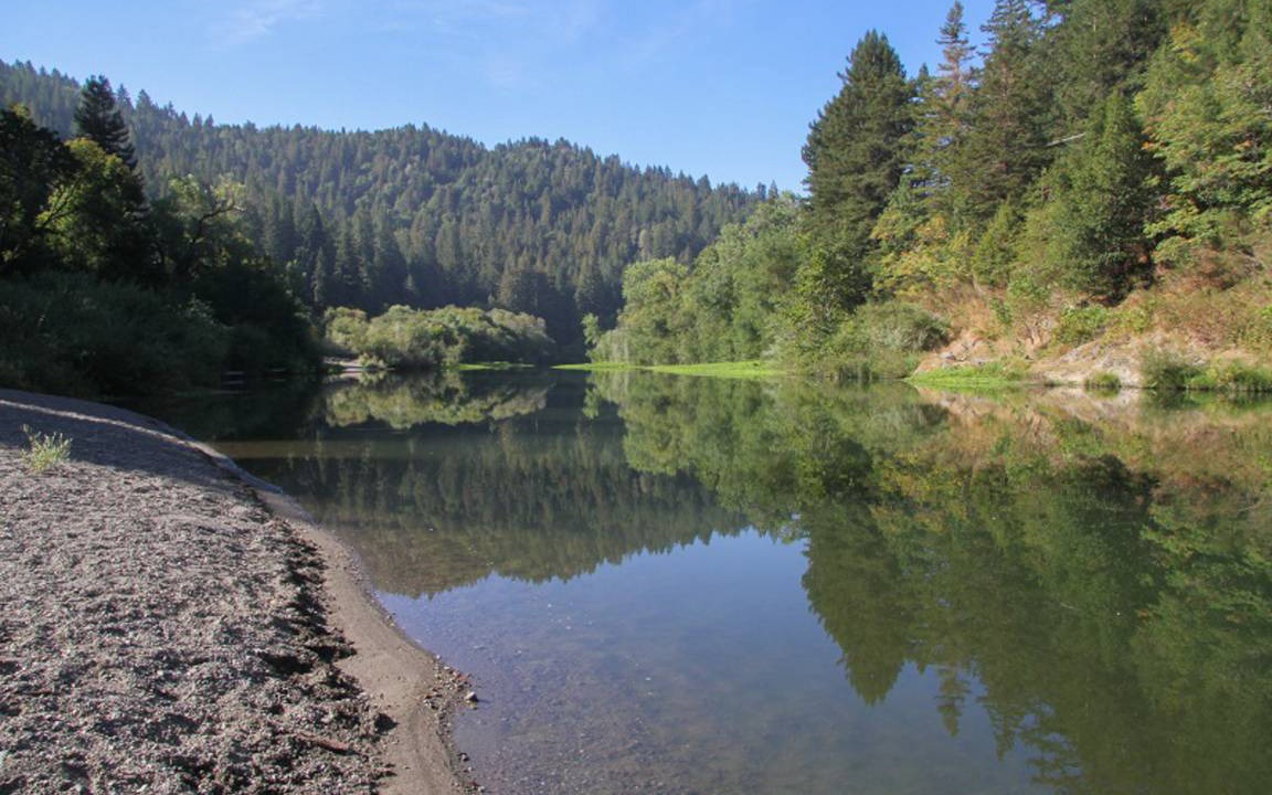 Photo of Others in Guerneville