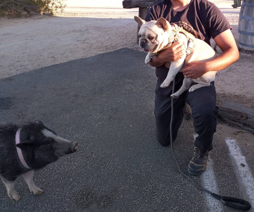 Photo of Others in Twentynine Palms