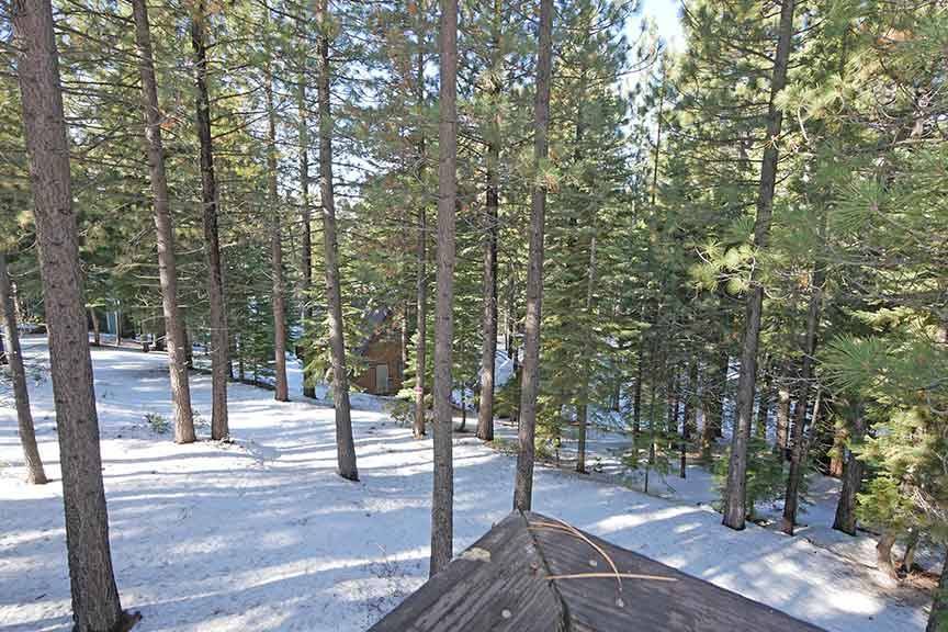 Photo of Others in Pioneer Trail