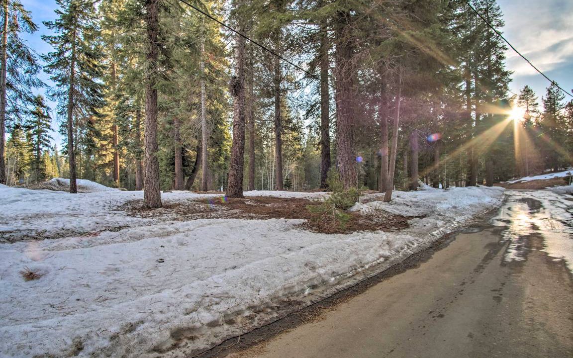 Photo of Others in Ponderosa