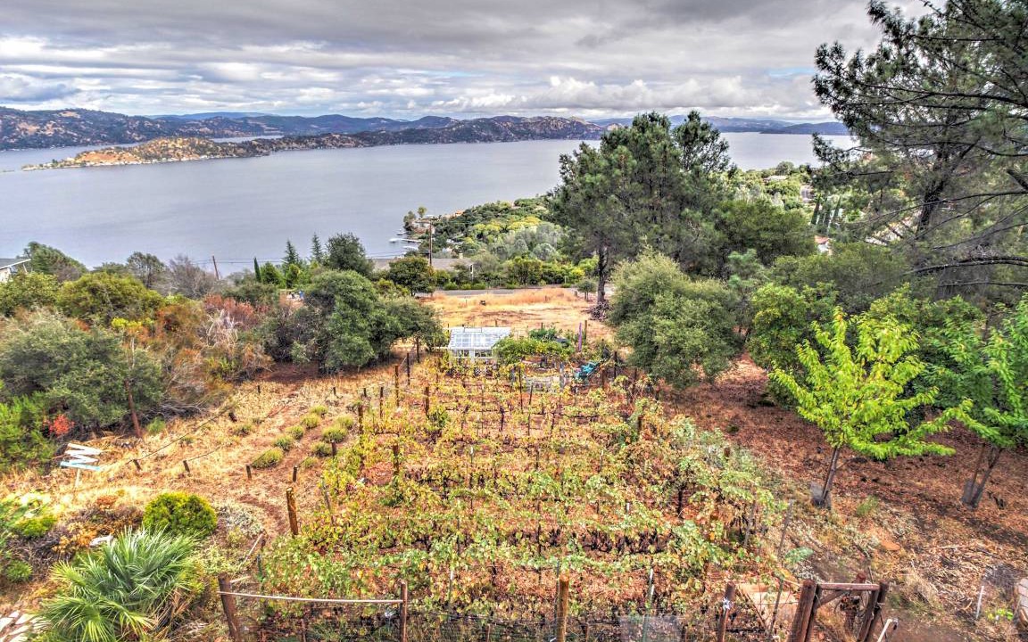Photo of Others in Kelseyville