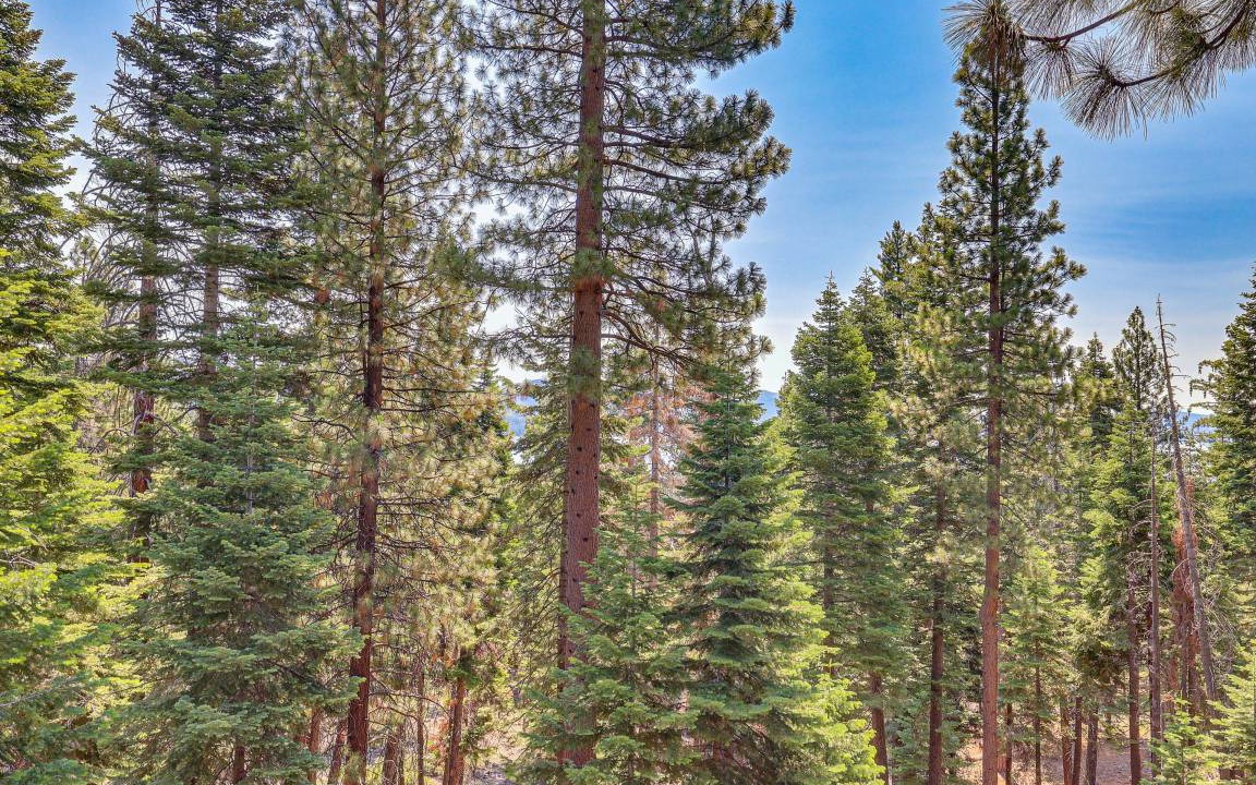 Photo of Others in Tahoe Vista