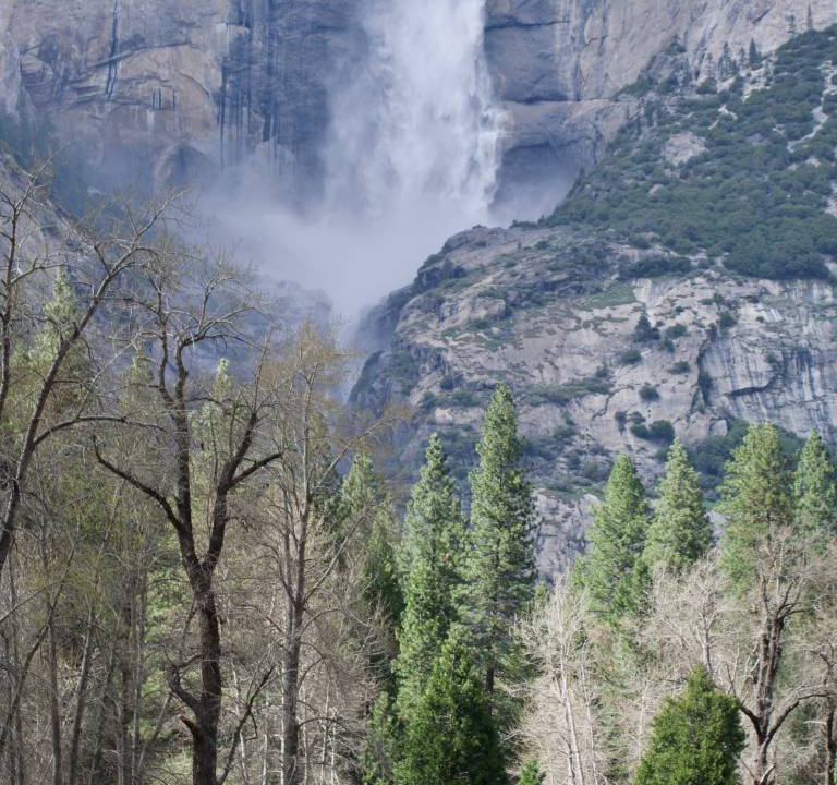 Photo of Others in Midpines