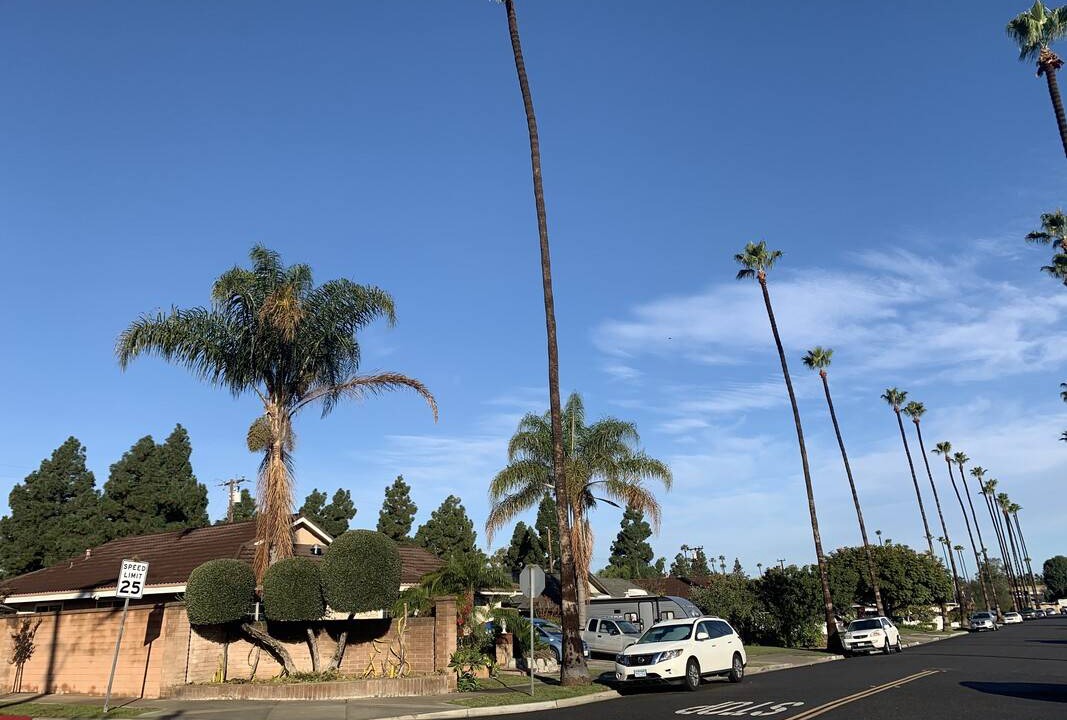 Photo of Others in Costa Mesa