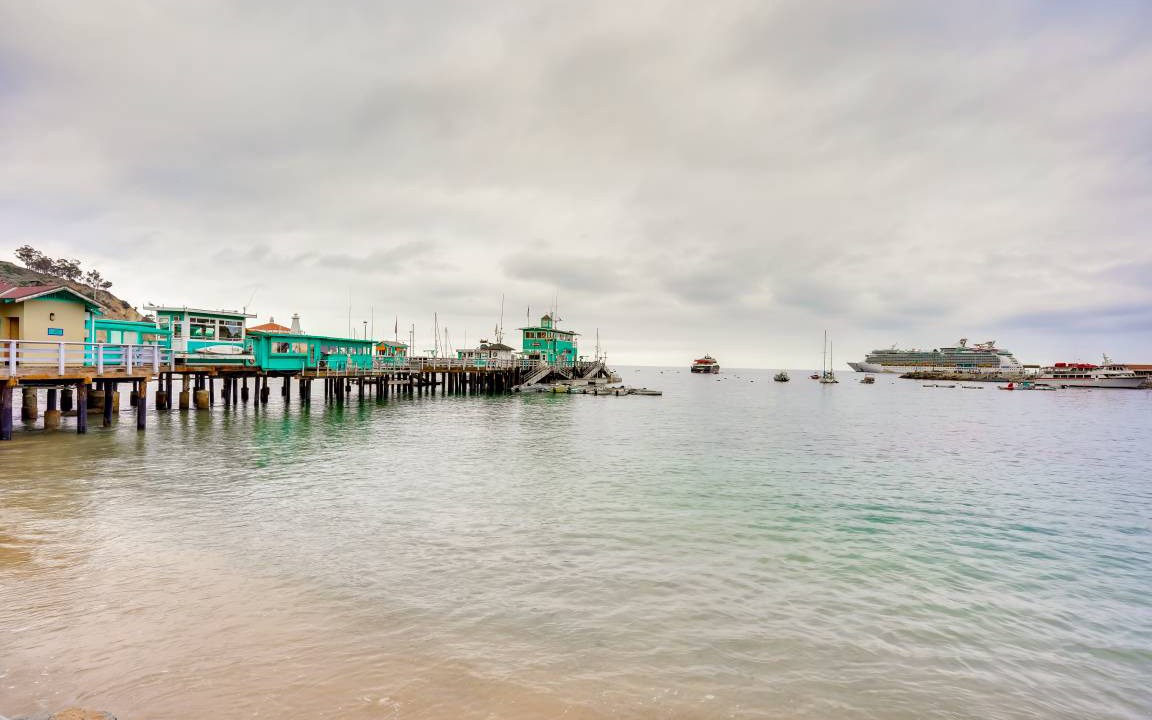 Photo of Others in Avalon