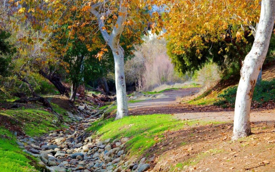 Photo of Others in Camarillo