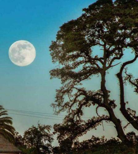 Photo of Others in Glen Ellen