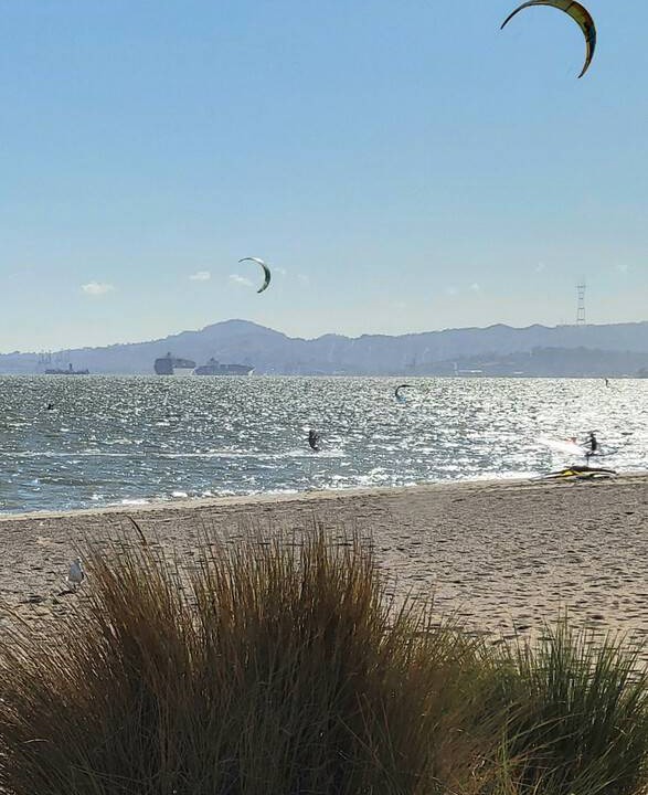 Photo of Others in West Alameda