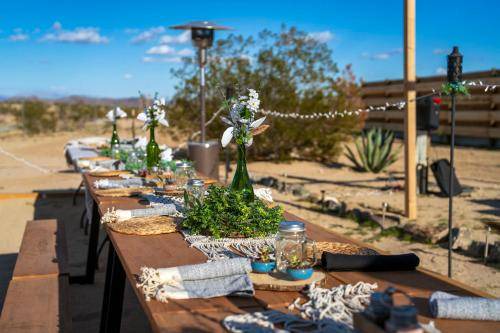 Photo of Others in Joshua Tree