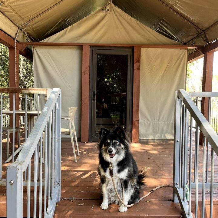Photo of Others in Carmel Valley