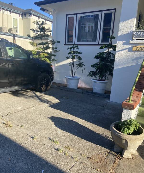 Photo of Others in San Rafael
