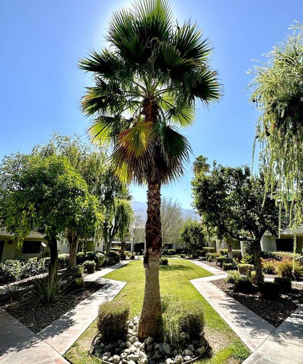 Photo of Others in Palm Springs